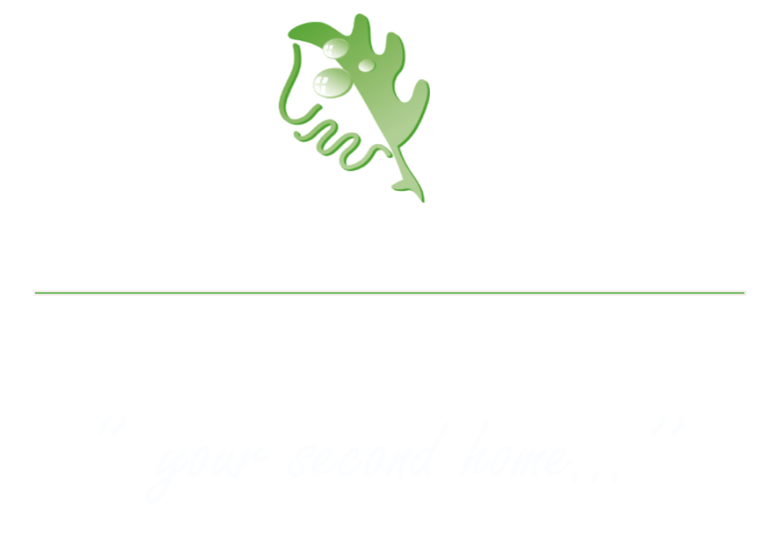 Green Garden Hotels